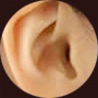 先天的な名器・凡器の差が現れる耳の溝