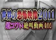 世界の恐怖映像2011～超コワイ絶叫動画40～