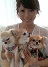 釈由美子の愛犬