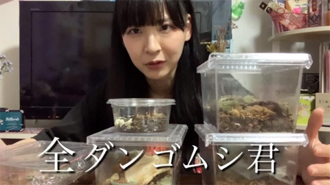 山﨑おしるこ ダンゴムシ